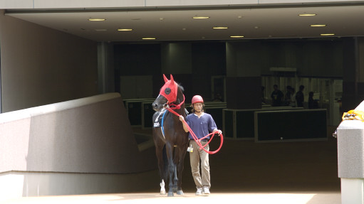 2004/05/29 東京09R