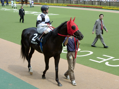 2004/05/29 東京09R