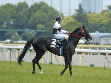 2004/05/29 東京09R