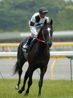 2004/05/29 東京09R