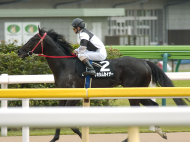 2004/05/29 東京09R