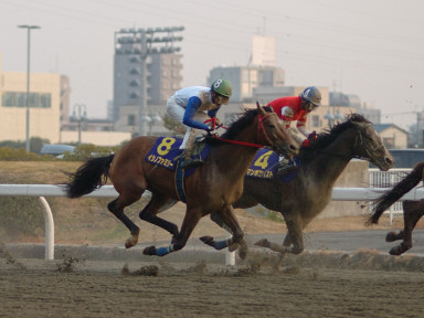2005/01/26 川崎10R