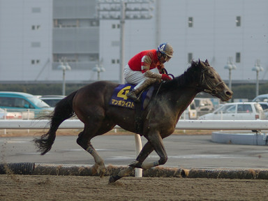 2005/01/26 川崎10R