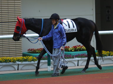 2010/10/21 福島06R