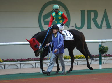2010/10/21 福島06R