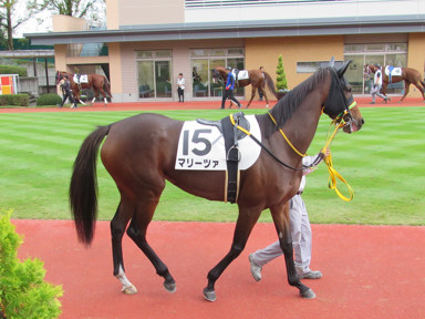 2019/10/27 �V��06R