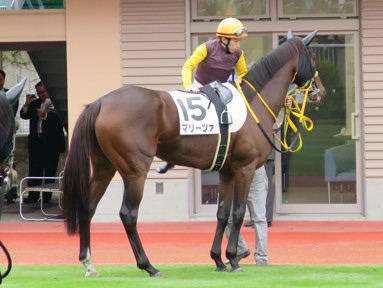 2019/10/27 �V��06R