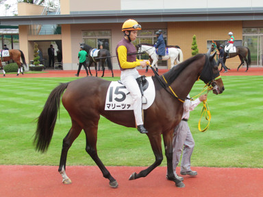 2019/10/27 �V��06R