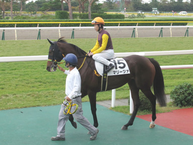 2019/10/27 �V��06R