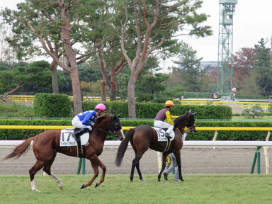 2019/10/27 �V��06R