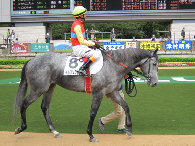 2010/10/10 東京04R