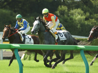2010/10/10 東京04R