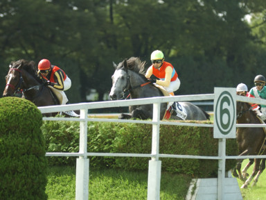 2010/10/10 東京04R