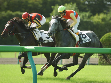 2010/10/10 東京04R