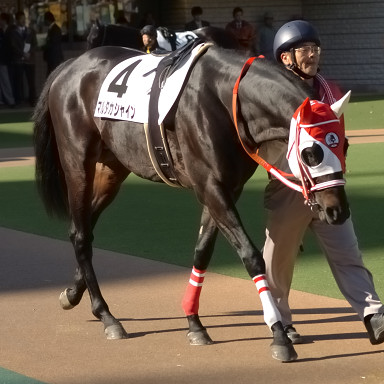 2005/11/20 東京07R