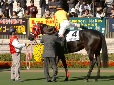 2005/11/20 東京07R