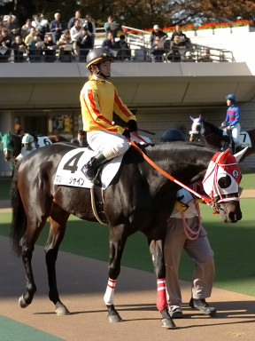2005/11/20 東京07R