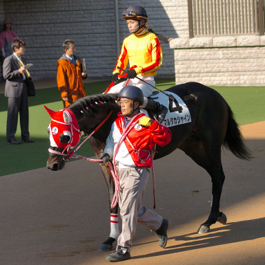 2005/11/20 東京07R