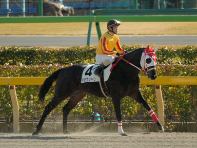 2005/11/20 東京07R