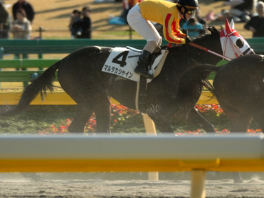 2005/11/20 東京07R