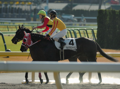 2005/11/20 東京07R