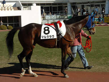 2006/01/08 ���R07R