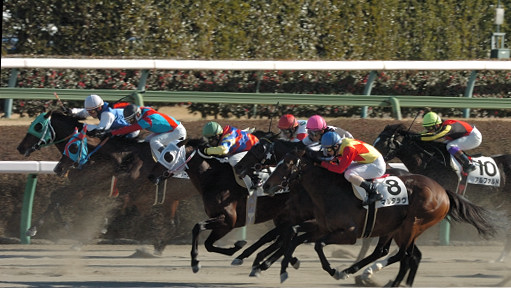 2006/01/08 ���R07R