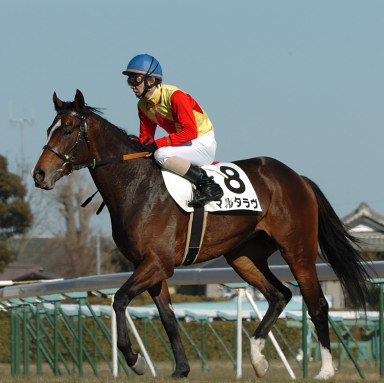 2006/01/08 ���R07R