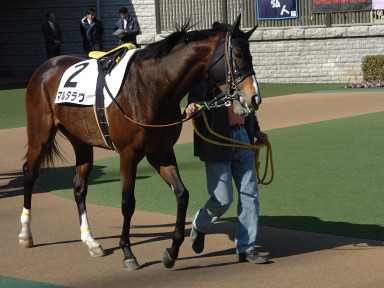 2007/02/03 ����07R