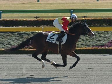 2007/02/03 ����07R