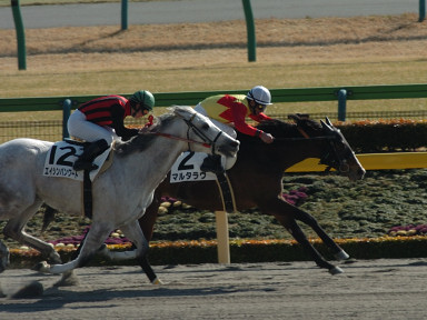 2007/02/03 ����07R