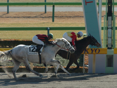 2007/02/03 ����07R