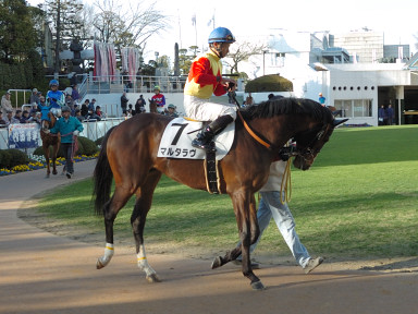 2007/02/24 ���R12R