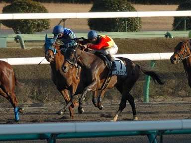 2007/02/24 ���R12R