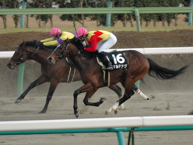 2008/01/20 ���R09R