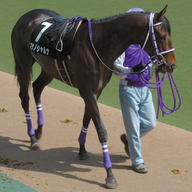 2009/05/02 東京09R