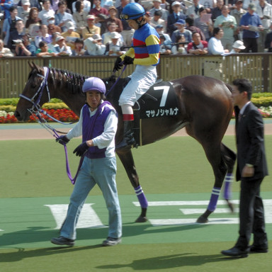 2009/05/02 東京09R