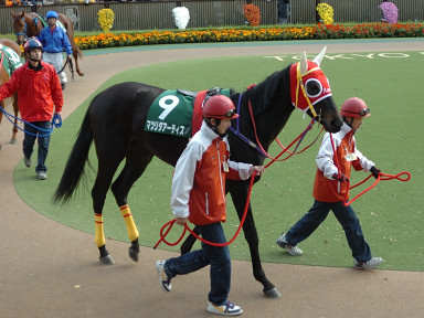 2005/11/19 東京11R