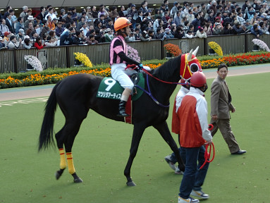 2005/11/19 東京11R