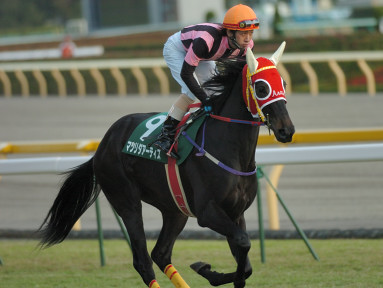 2005/11/19 東京11R