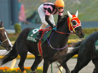 2005/11/19 東京11R