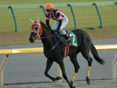 2005/11/19 東京11R
