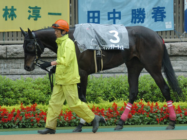 2006/06/11 東京09R