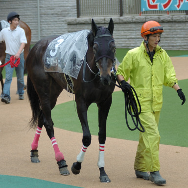 2006/06/11 東京09R