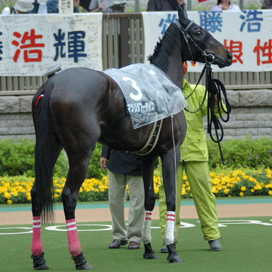 2006/06/11 東京09R