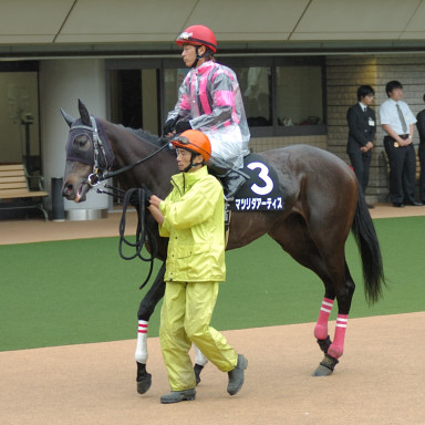 2006/06/11 東京09R