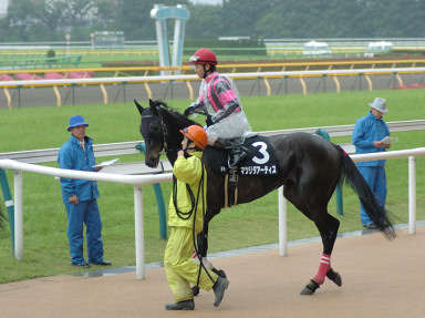 2006/06/11 東京09R