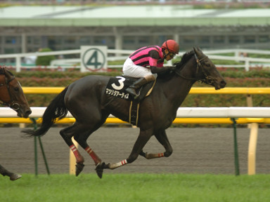 2006/06/11 東京09R