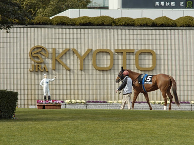 2004/02/01 京都09R