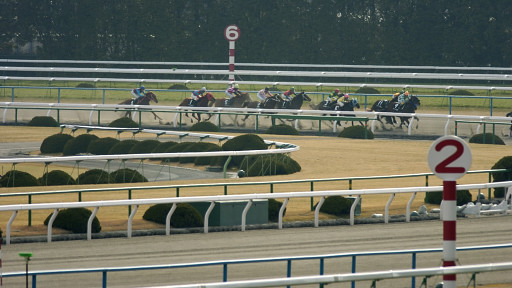 2004/02/01 京都09R